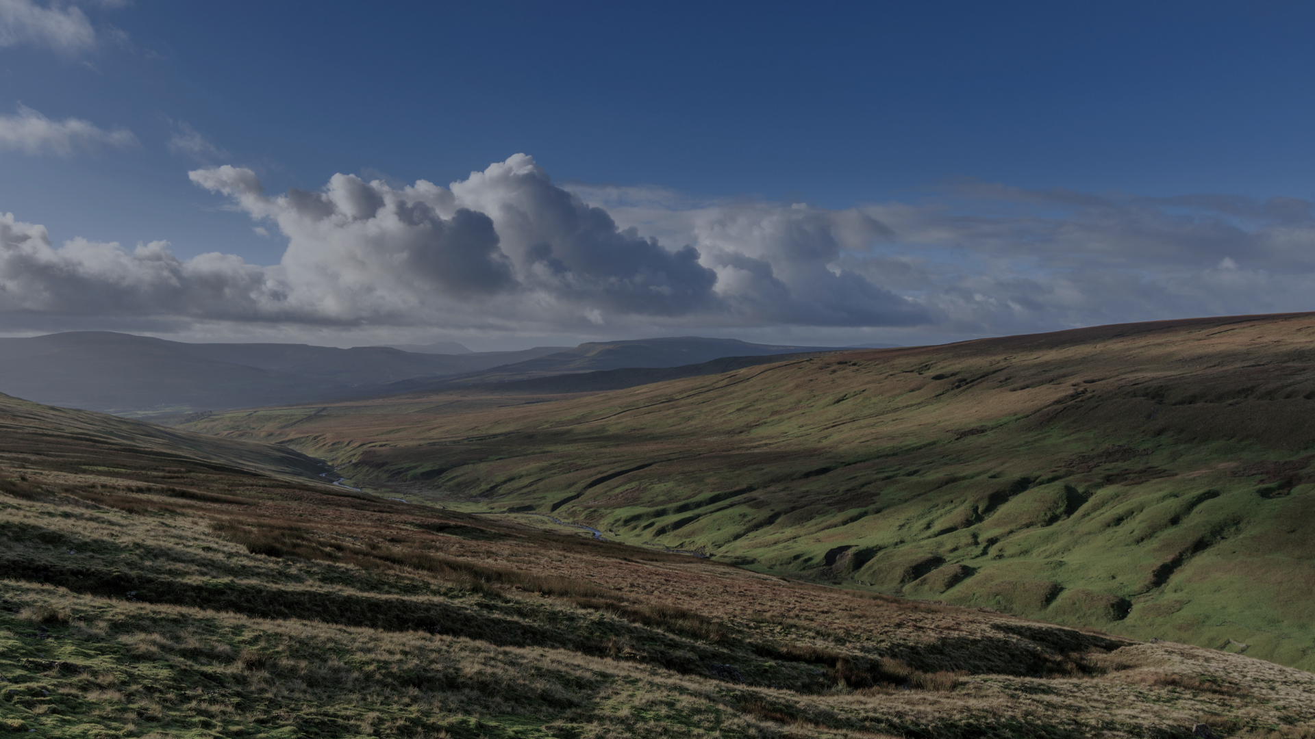 Yorkshire Dales Biodiversity