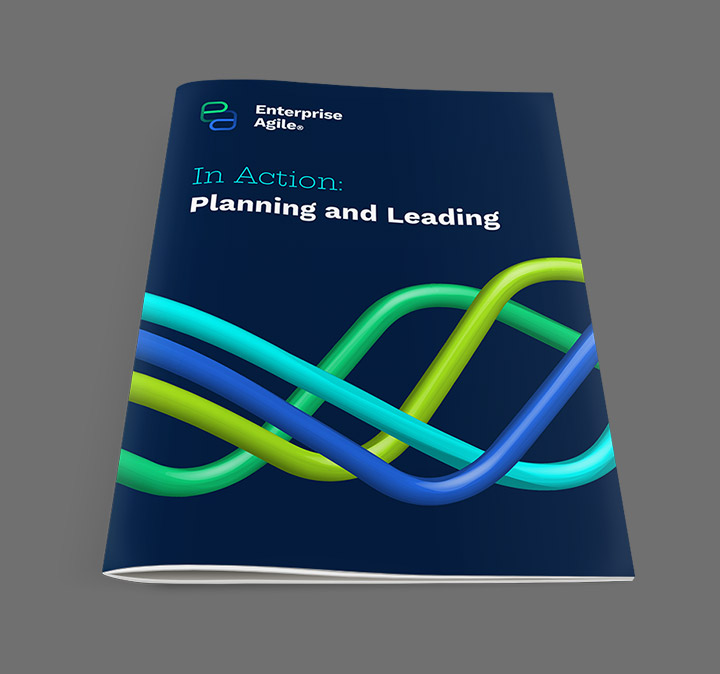 EAIA: Planning and Leading