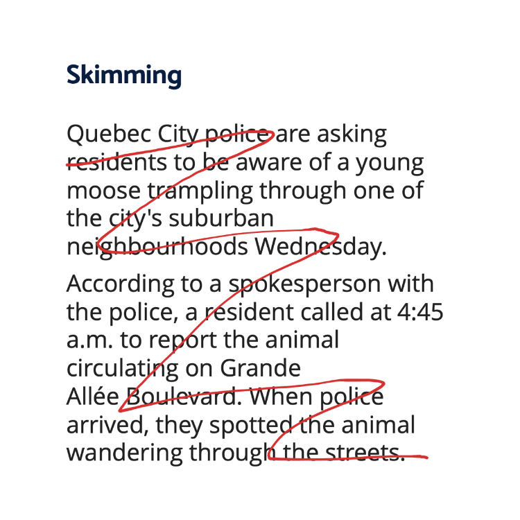 Skimming: the eye skips from the first line to the fourth line to the end of the opening looking for top level details.